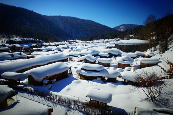 行業(yè)動態(tài)